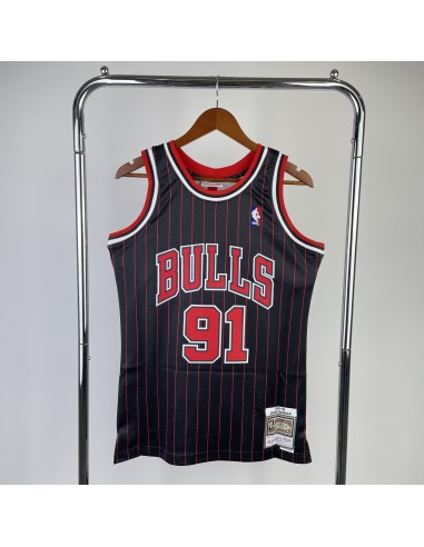 Chicago Bulls Retro 95/96 Rodman (Serigrafiada)